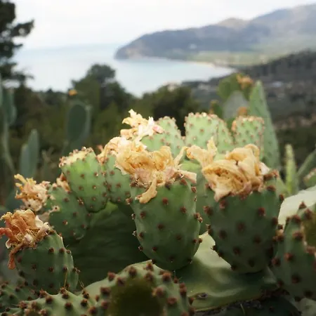 Bed & Breakfast Casa Junno 4*