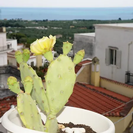 Nocleg ze śniadaniem Casa Junno 4*