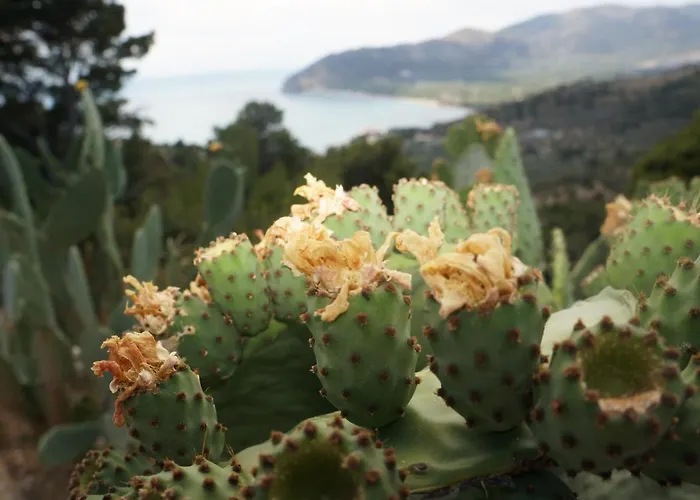 Panzió Casa Junno 4*